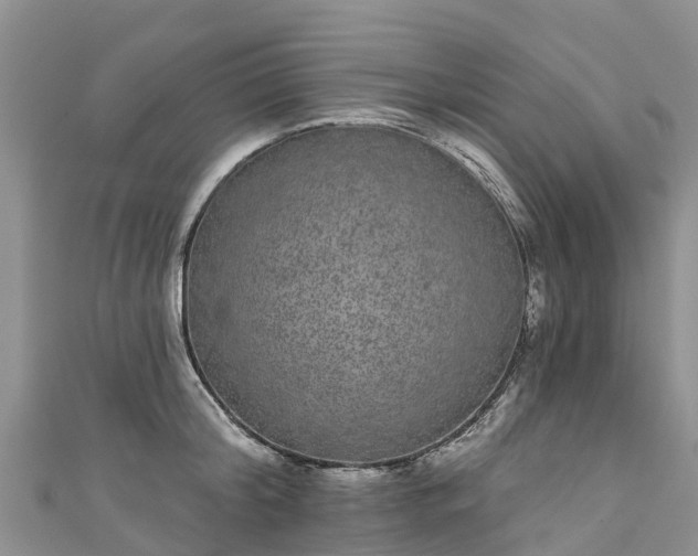 X0000110960804200906261340