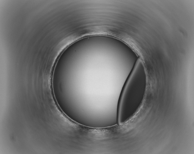 X0000110960805200906261340