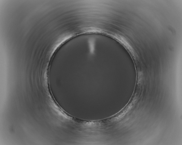 X0000110960806200906261340