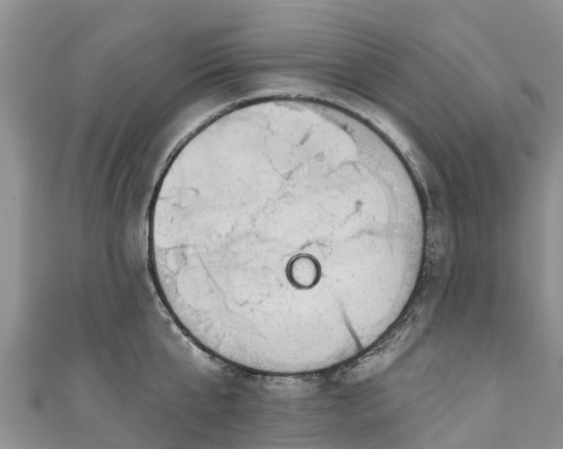 X0000110960807200906261340