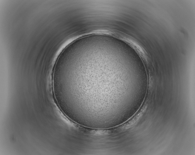 X0000110960808200906261340