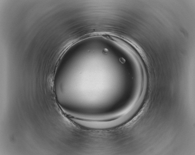 X0000110960809200906261340