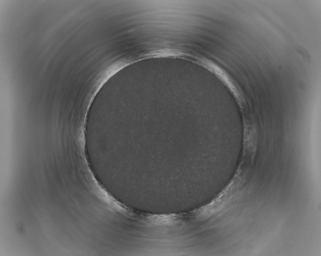 X0000110960810200906261340