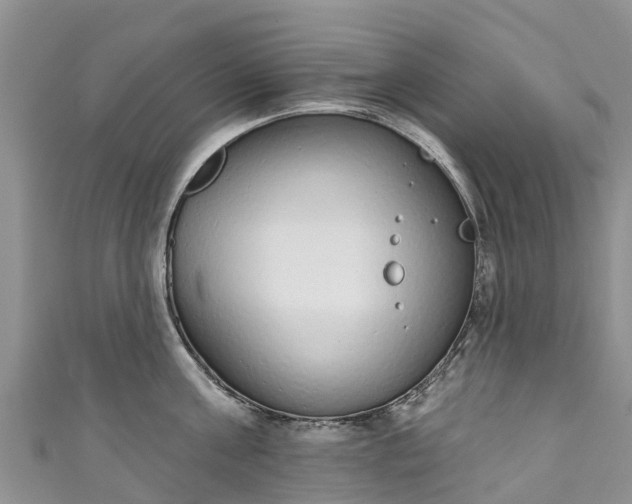 X0000110960811200906261340