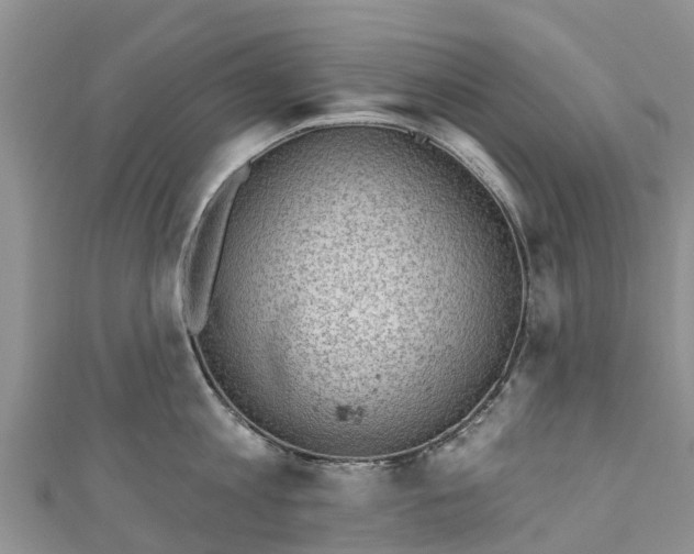 X0000110960813200906261340