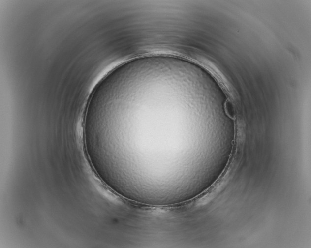 X0000110960814200906261340