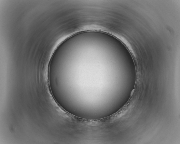 X0000110960815200906261340