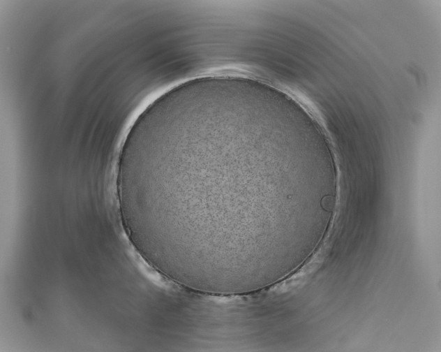 X0000110960816200906261340