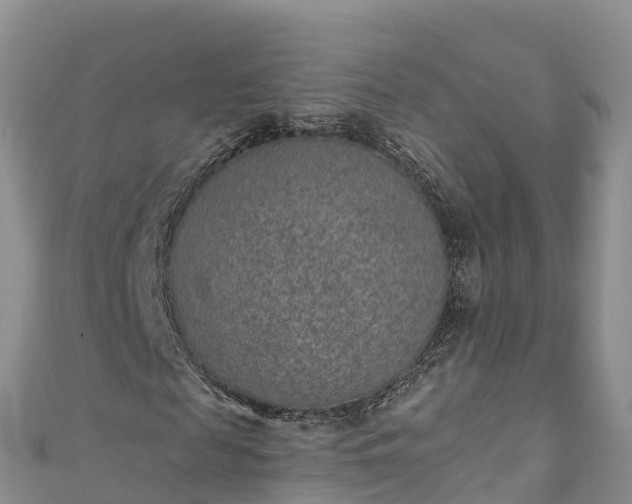 X0000110960817200906261339