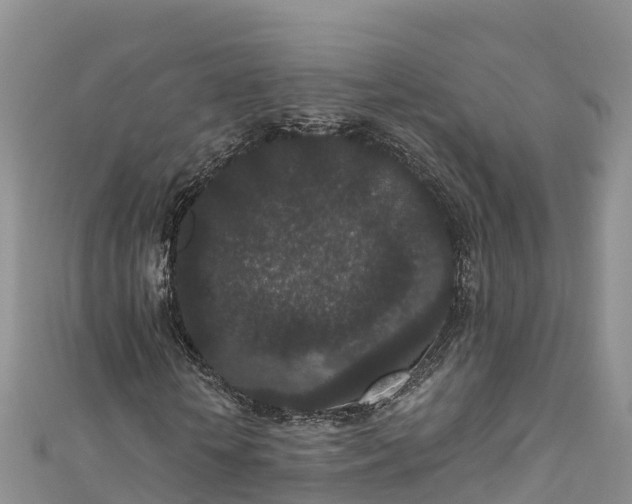 X0000110960818200906261339