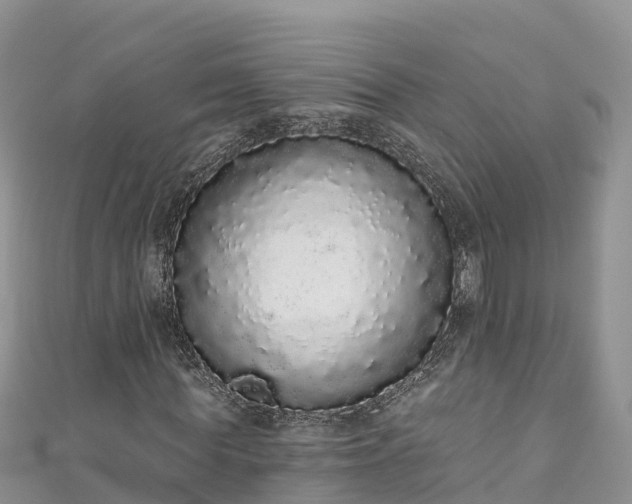 X0000110960819200906261339