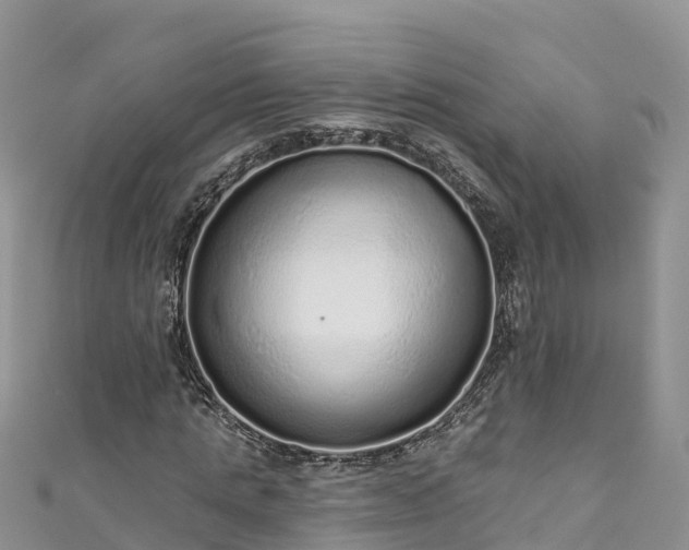 X0000110960821200906261340