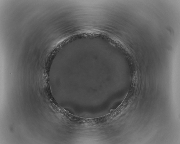 X0000110960822200906261340