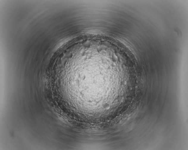 X0000110960823200906261340