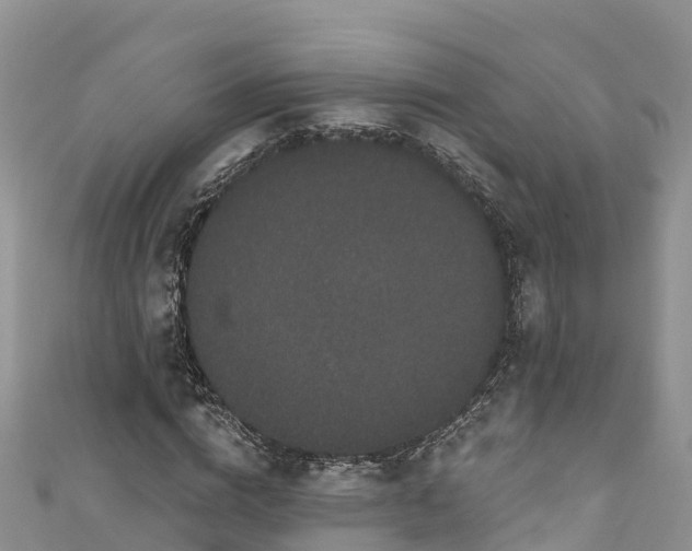 X0000110960824200906261340