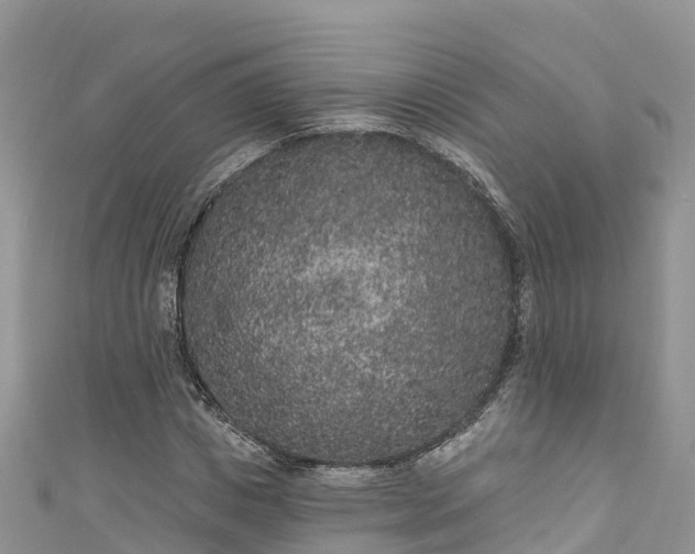 X0000110960825200906261340