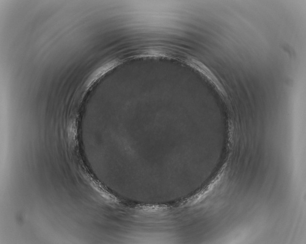 X0000110960826200906261340