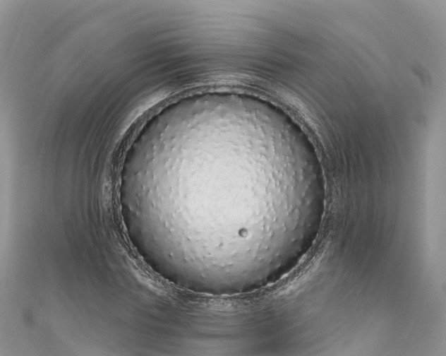 X0000110960827200906261340