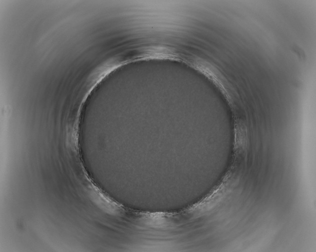 X0000110960828200906261340