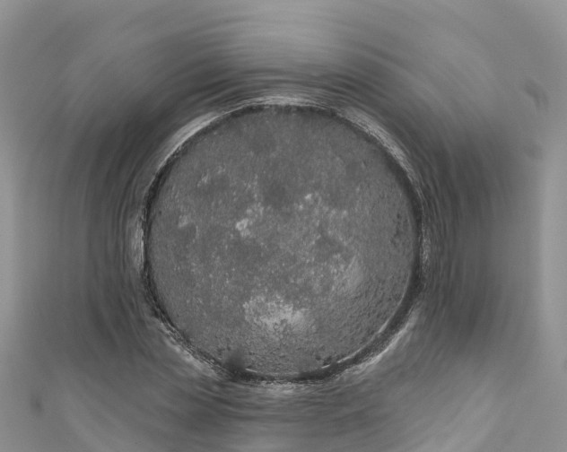 X0000110960829200906261340