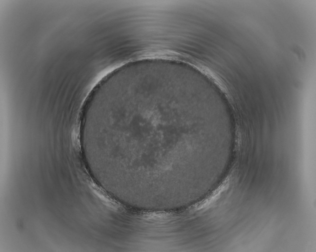 X0000110960830200906261340