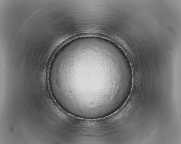 X0000110960831200906261340