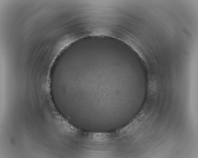 X0000110960832200906261340