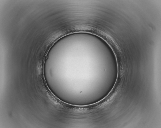 X0000110960833200906261340