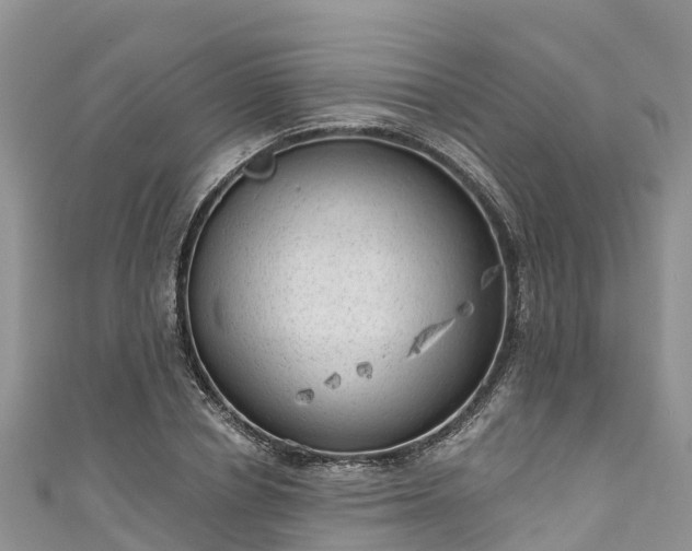 X0000110960834200906261340