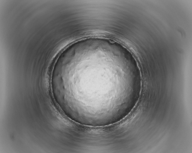 X0000110960835200906261340