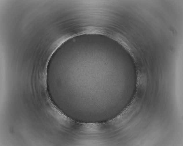 X0000110960836200906261340