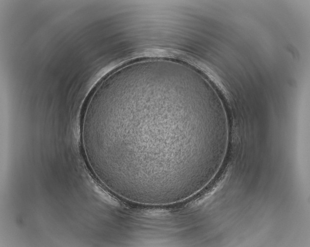 X0000110960837200906261340