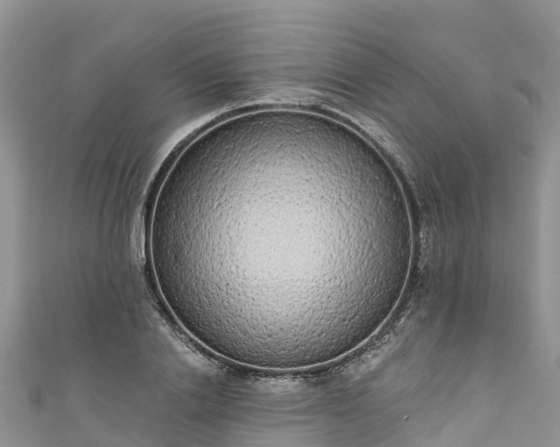 X0000110960838200906261340