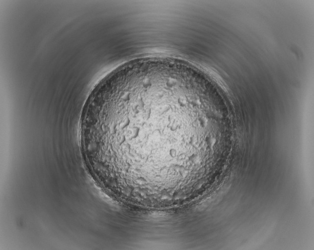 X0000110960839200906261340