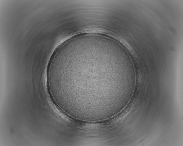 X0000110960840200906261340