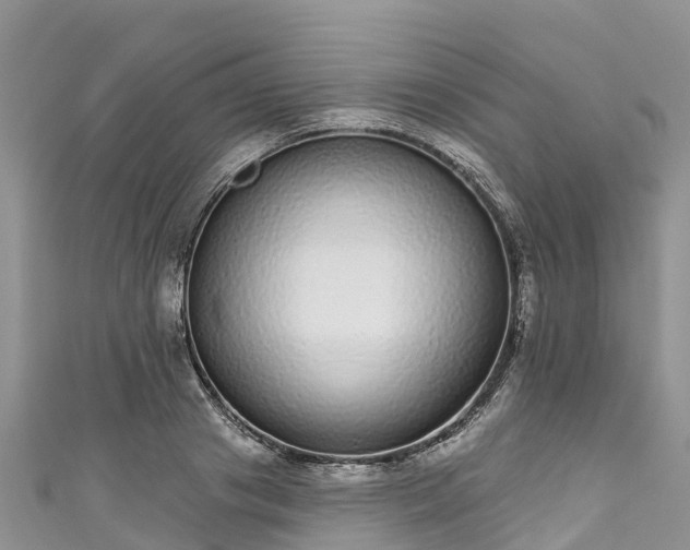 X0000110960841200906261340