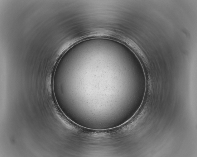 X0000110960842200906261340