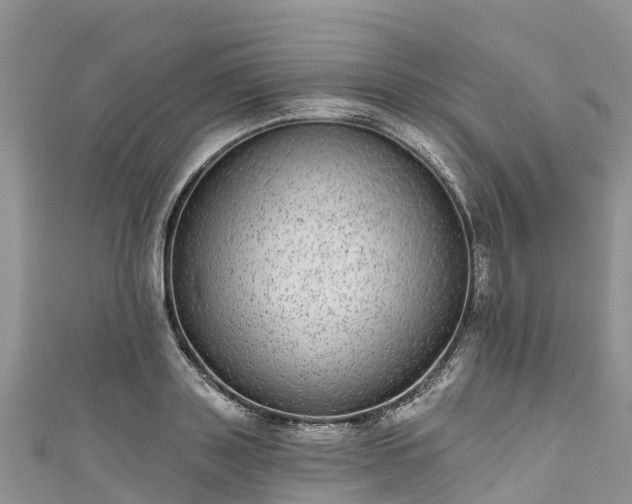 X0000110960843200906261340