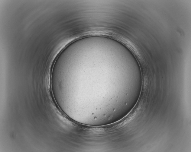 X0000110960844200906261340