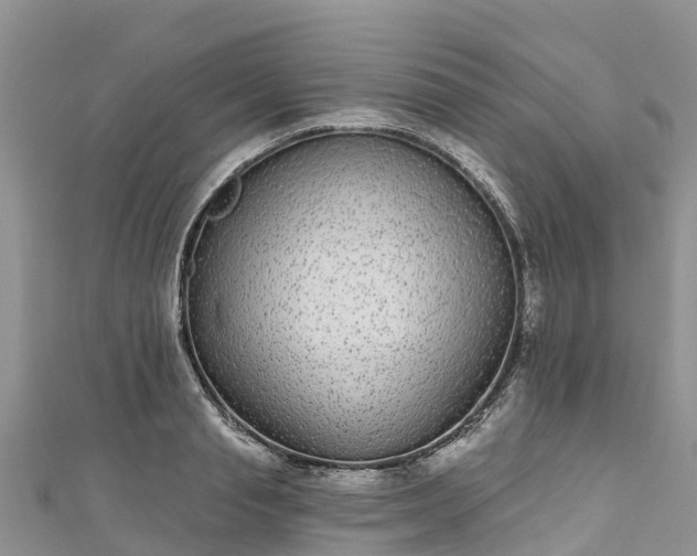 X0000110960845200906261340