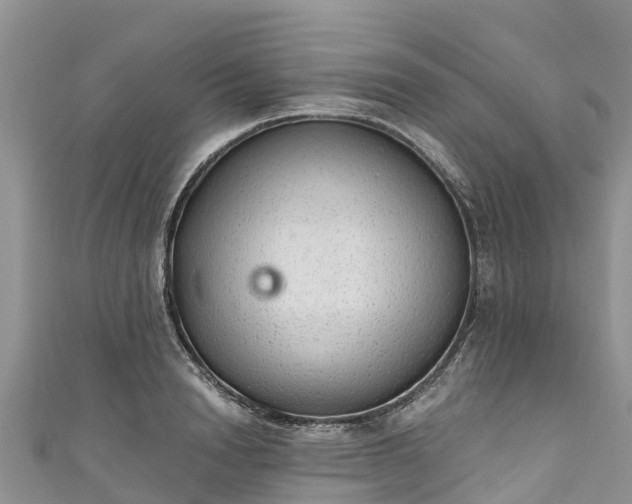 X0000110960846200906261340