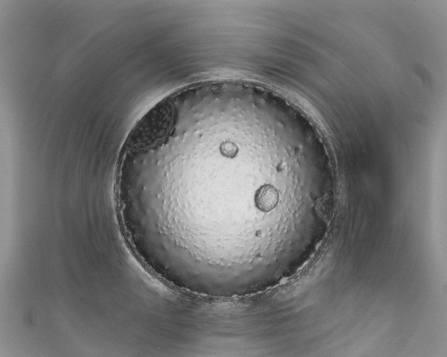 X0000110960847200906261340