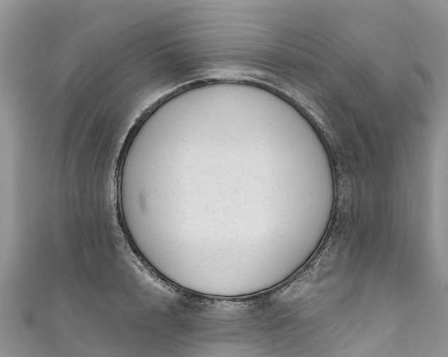 X0000110960848200906261340