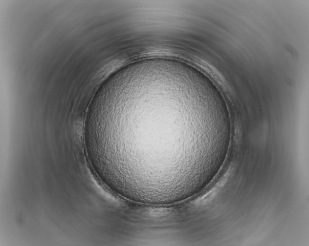 X0000110960849200906261340