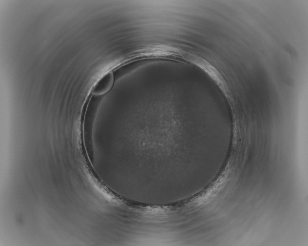 X0000110960850200906261340