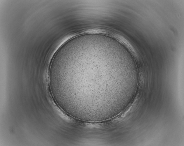 X0000110960852200906261340