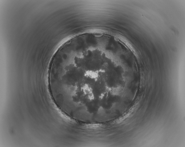 X0000110960853200906261340