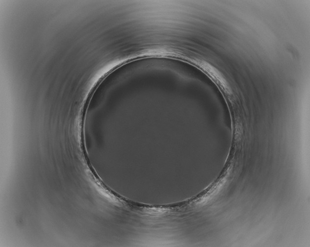 X0000110960854200906261340