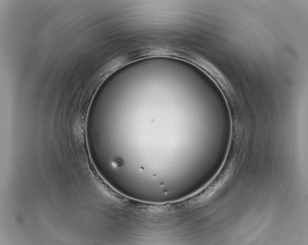 X0000110960857200906261340