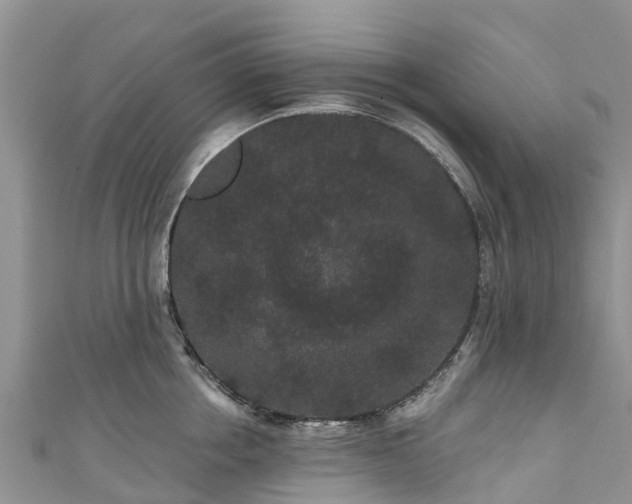 X0000110960858200906261340